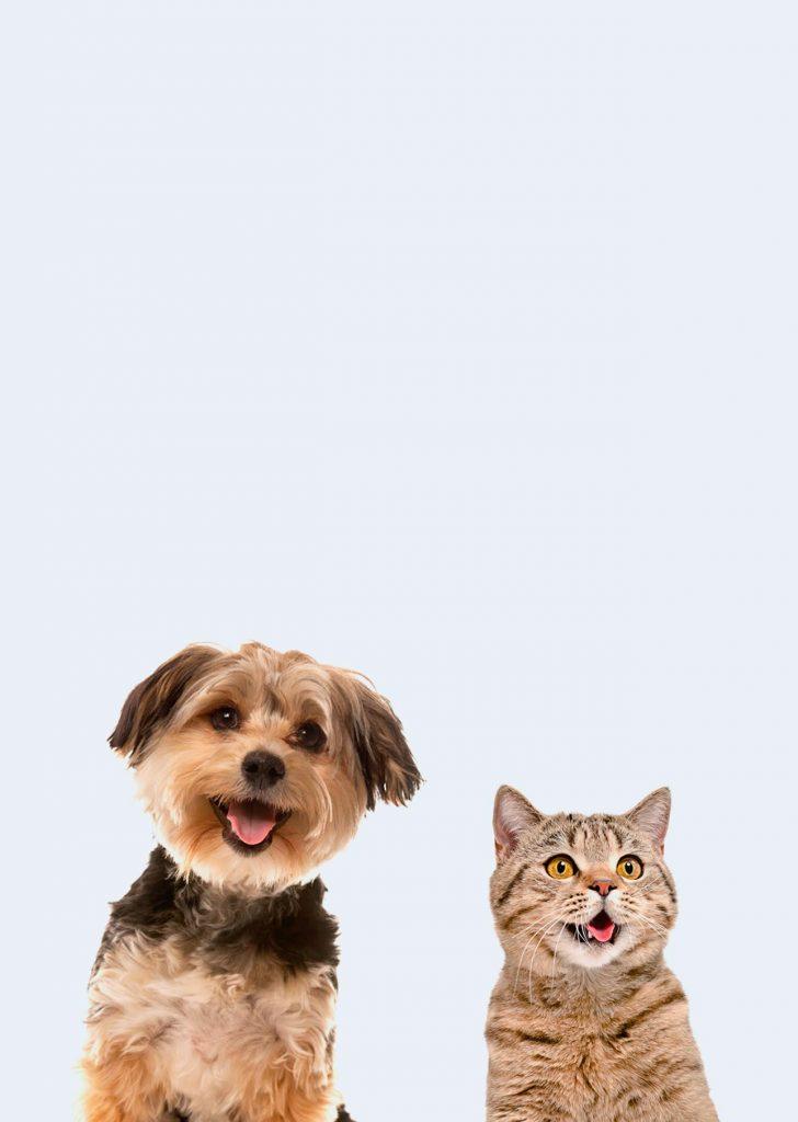 Best4Pet.hr