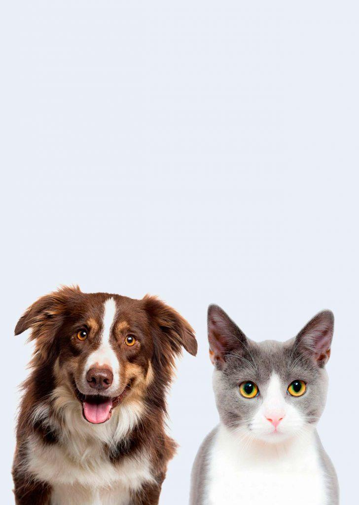 Best4Pet.hr