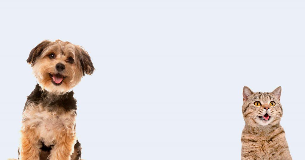 Best4Pet.hr