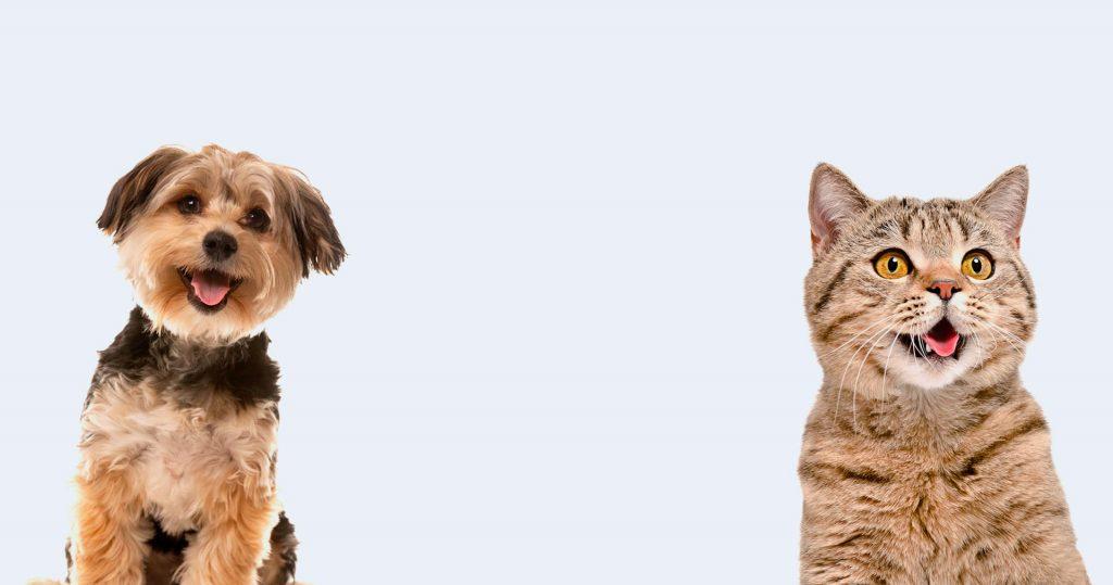 Best4Pet.hr
