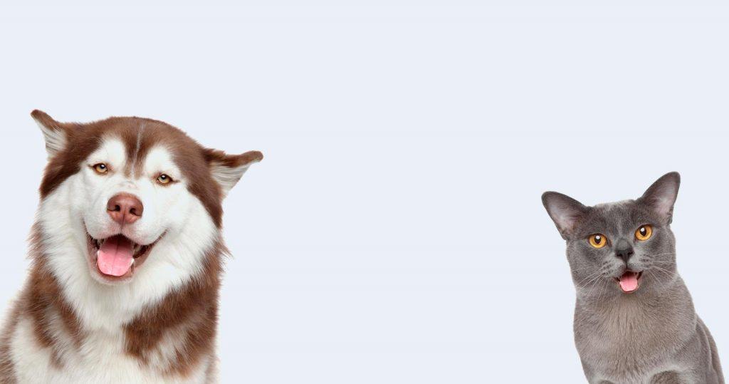 Best4Pet.hr