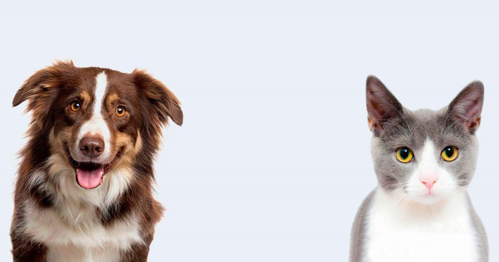 Best4Pet.hr